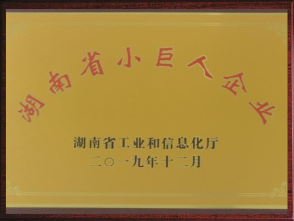 湖南省小巨人企業